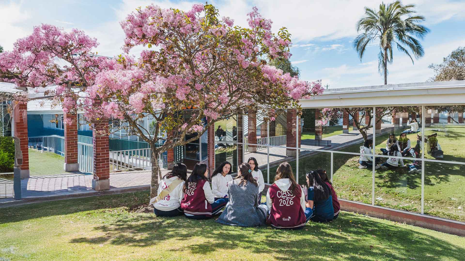 Estudiantes del Colegio Los Pinos en clase al aire libre