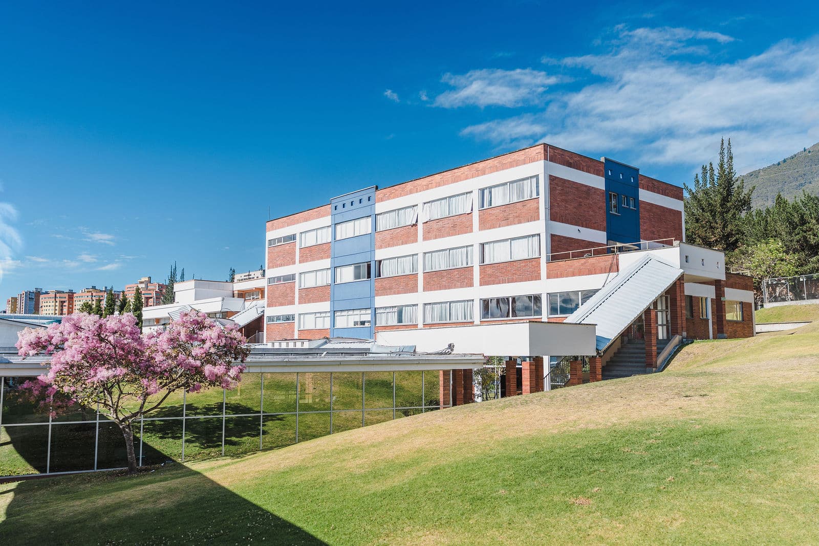 Áreas verdes y deportivas del colegio