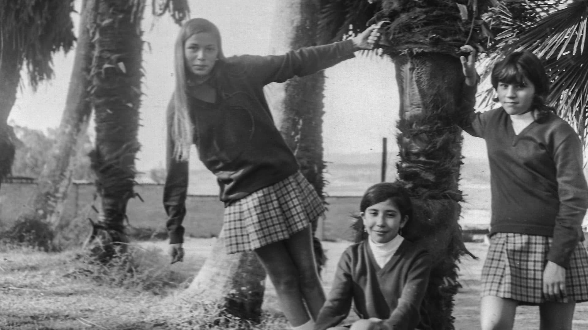 Imagen 1 de Los Pinos