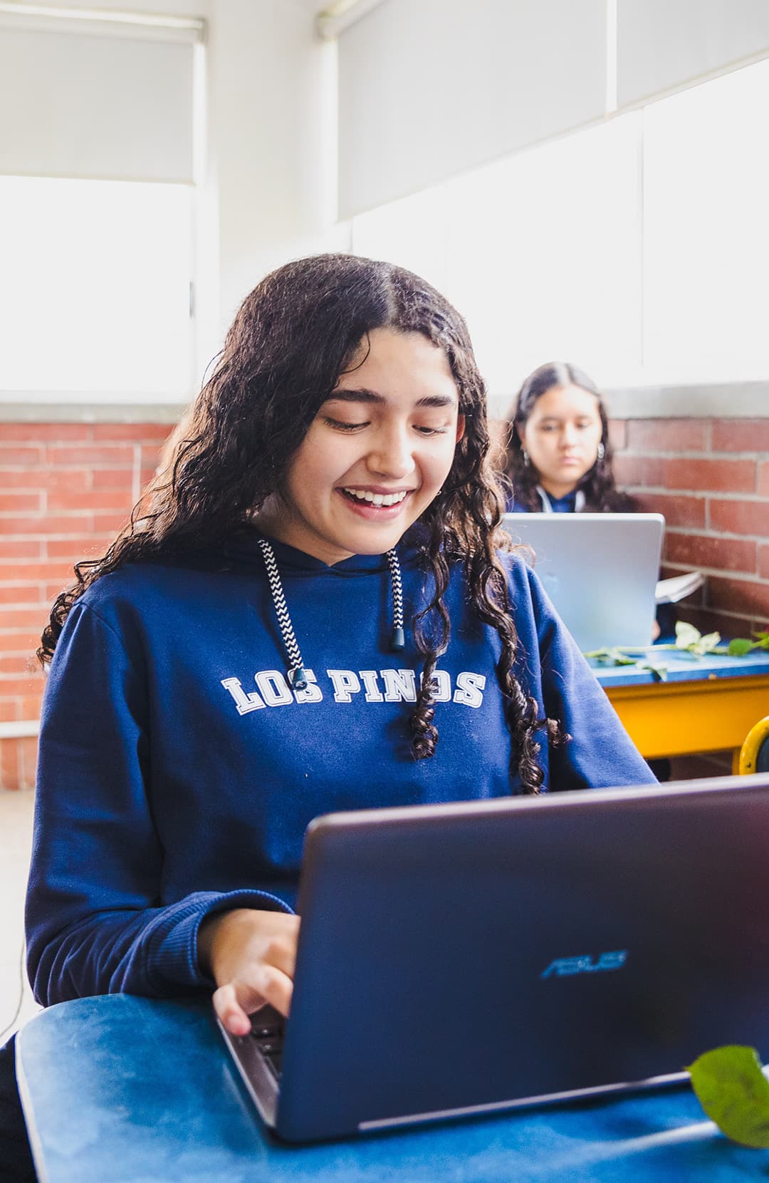 Llena el formulario en línea